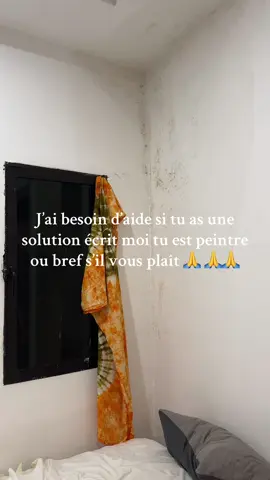 Si tu est peintre ou spécialiste dans le domaine où ça t’es déjà arrivé tu as utilisé et que c’est bon maintenant écrit le moi en commentaire je ne sais plus quoi faire ils on fais le crépissage et refait la peinture mais rien ils font de leur mieux mais elace 
