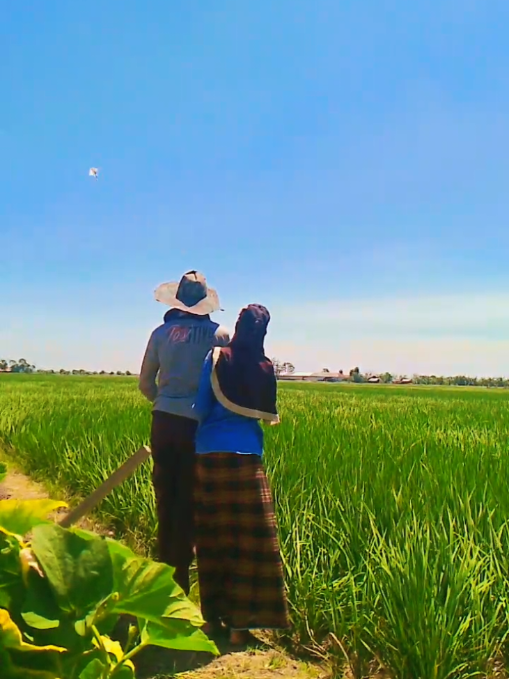tadinya aku nih bontot, eh kagak jadi 🤣