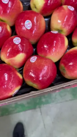 MELE SAMBOA 🍎  📍Ci troviamo  presso: MERCATO COPERTO (N.38-48-49), PIAZZA G. MATTEOTTI, CASERTA(81100). ☎️ per info e spesa a domicilio: 3387818798. 🅿️ il mercato è dotato di ampio parcheggio. 🚛 FORNITURE PER ENTI PUBLICI E PRIVATI. #caserta##casertafood##casertafoodblog##casertafoodporn##fruttafresca##