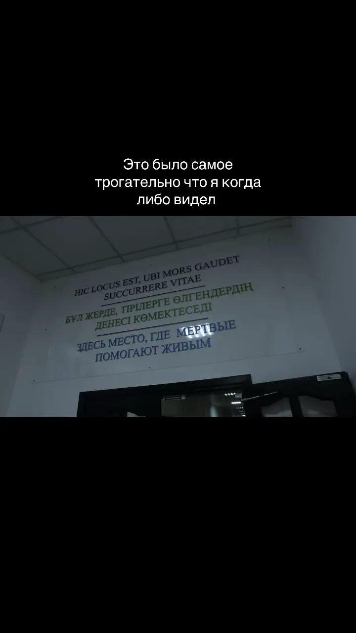 Медики поймут #мед #цитата 