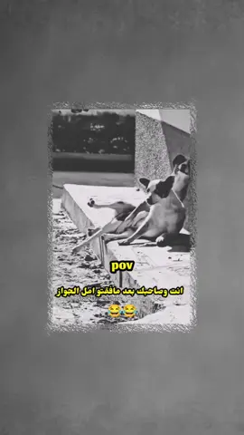 سوي منشن لصديقك 😂#عباراتكم_الفخمه📿📌 #تصميم_فيديوهات🎶🎤🎬 
