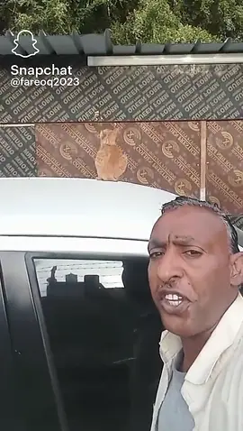 #عمان #البحرين #الشعب_الصيني_ماله_حل😂😂 #عابر_القارات🔕 #cats 