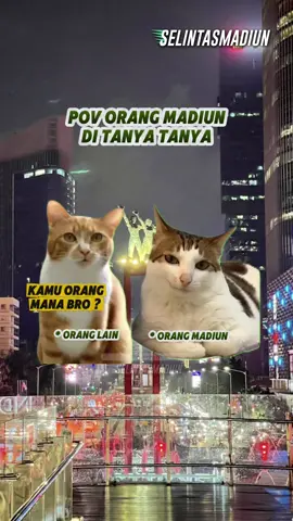 Pov : orang Madiun kalau lagi ditanya tanya🫣🤭 #madiun #selintasmadiun #infomadiun #meme #catmeme 