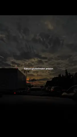 Gözlerimden anlasın #lyrics #fyp #eminiizm #ermusic #poizi 