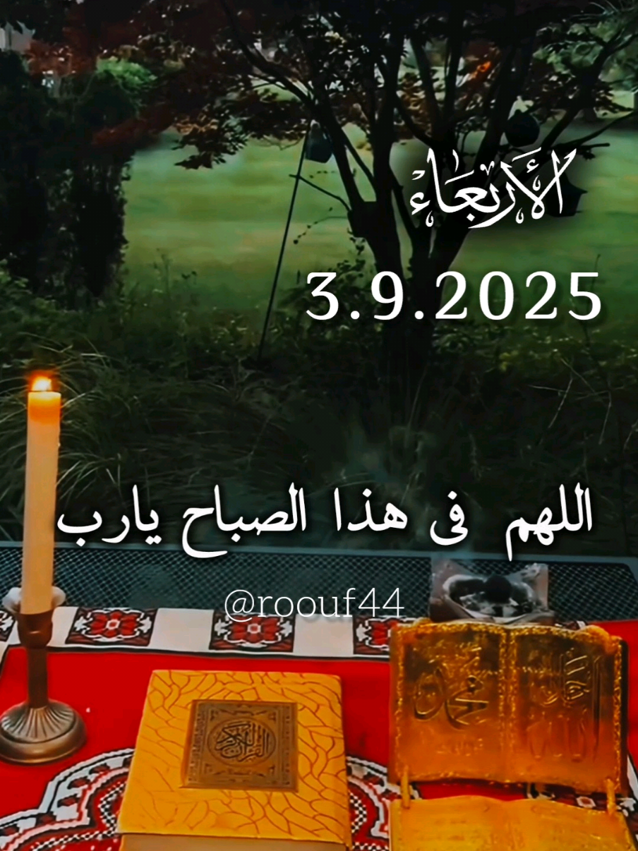 #دعاء_يوم_الاربعاء #يارب 🧡 أللهم في هاذا الصباح يارب 💕 #اللهم_امين_يارب_العالمين #دعاء_يريح_القلوب🤍🤍🤲🏻 #roouf44  🌹🌹 دعاء_يريح_القلوب_ويطمئن_النفوس  🤲🤲🕋🕋🤲🤲