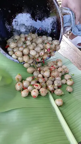 markibok #vidio  #fyp  #viral 