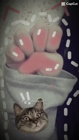 Đu trend tay mèo nà<3 🐱#meow #xuhuongtiktok #cat #trendtaymeo 