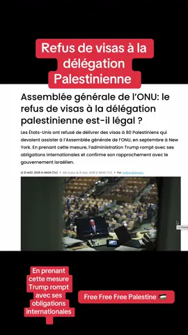 Refus de visas à la délégation palestinienne #gaza #palestine #israel #onu #amerique 