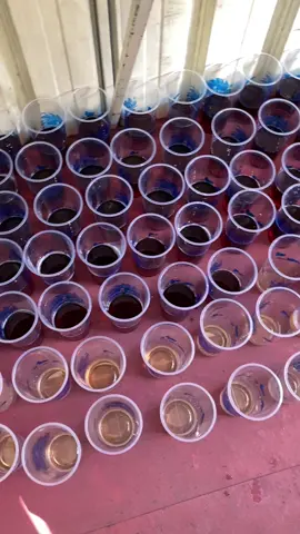 130 cup jasmine sold out😍🫰🏻 #fyp #tehobengindonesia #kemitraanesteh #foryoupage #fyppppppppppppppppppppppp 
