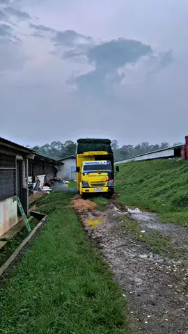 herex style comeback 🙌🏼#trukmaniaindonesia #storytruk #drivermuda #gabutberkedoksupir #fypviralシ゚ 