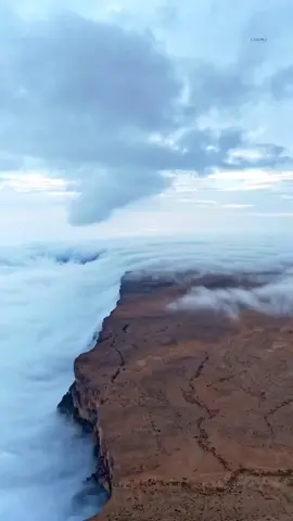 باسمك اللهم اني قد سعيت لرضاك فأجرني و أغثني من ضلالي لهداك يا ملاذ الخائفين يا رجاء المذنبين انت ربي من يعين ليس لي رب سواك.🌹🌿#صباحكم_سعاده #صباح_الخير #صباح_الورد #صباح_التفاؤل #صباح_الامل  .