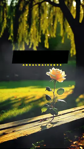#foryou #trending #creatorsearchinsights #goviral 