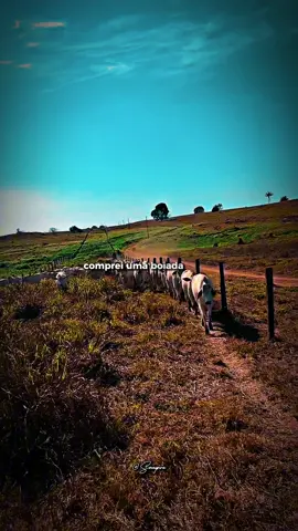 Berrante de Madalena - #silveraesilverinha #berrantedemadalena #modao #boiada #sertanejoraiz 