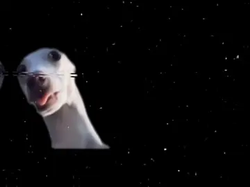لعيون رقيه وتدلل😅🧿 #مجرد________ذووووووق🎶🎵💞 #ترند #vip #اغاني_مسرعه💥 #الشعب_الصيني_ماله_حل😂😂 