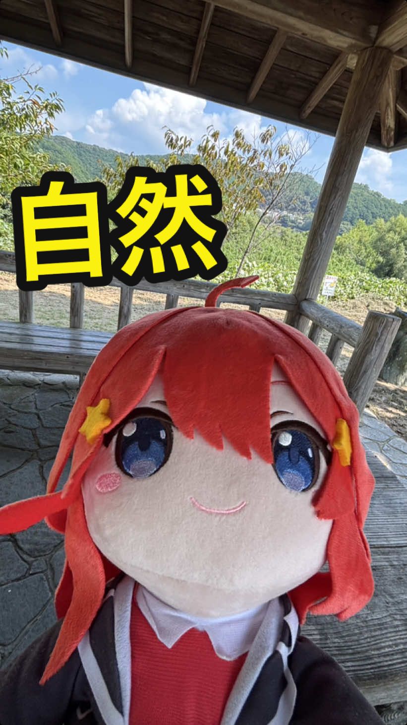 でか五月ちゃんは自然が大好き！ #五等分の花嫁 #中野五月 #itsuki #可愛い #自然 #公園 #彦五郎公園 #park #🛝 #夏 #Summer #happy #enjoy #🌳 #big #❤️ #GOOD #👍 #☺️ #妖怪ウォッチ #おおもり山 