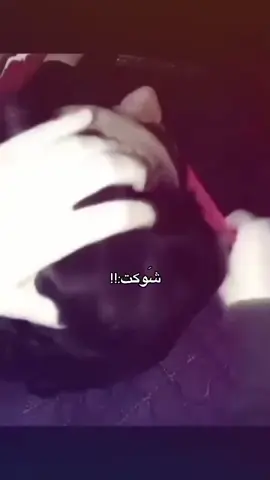 بحظني اتخيلك مرات! ❤️ #ستوريات #بغداد 