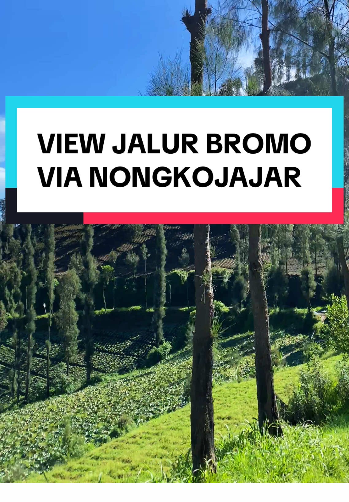 Jalur ke Bromo Via Pasuruan :) #sewajeepbromo #wonokitri #tengger 