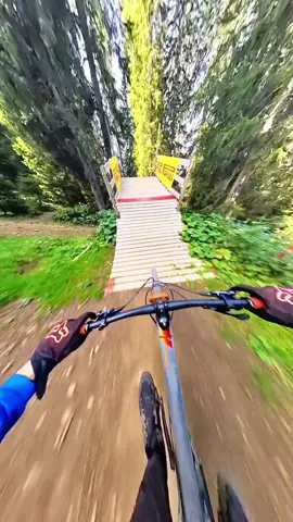 Bike Roller Coaster