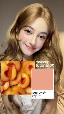 for some reason?? I forgot to film concealer part just KNOW it’s there !!  ✮⋆˙ list of products:  face:  — @espoir USA be velvet foundation / 21 neutral  — @glow not dry concealer / light  — @alternativestereo_얼터너티브스테레오 balmy cream cheek / baby rose 01 brows:  — @Peripera skinny speedy brow / 02  — kiss me heavy rotation brow mascara / 09 eyes: — glow anime palette — glow shattered glass glitter / division — clio sharp so simple waterproof pencil liner / 03 — 2an mascara is no longer available >:[ lips:  — colorgram all in one overlip marker / 03 — alternative stereo streaming milk — alternative stereo lip potion sugar glaze / 04 peach ball for those who read till the end here’s a little secret: it’s a wig BUT shhh don’t tell anyone  #douyin抖音 #makeupfyp #recommendations #fyp #TikTokBeauty