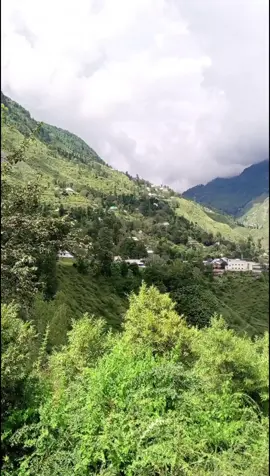 #foryou #kashmiri 