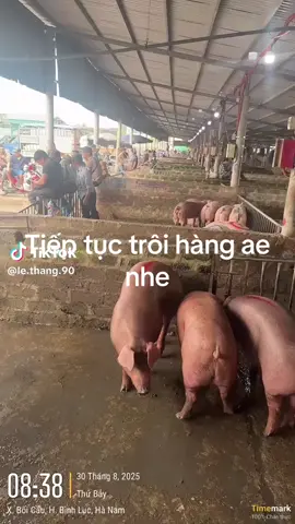 #xuhuong 