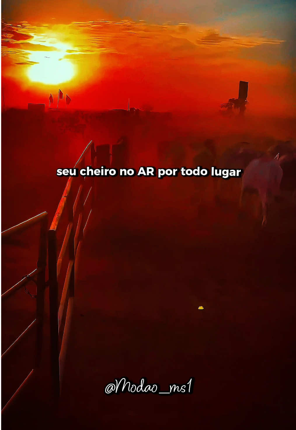 Não dá pra esperar- #zezedicamargoeluciano #naodapraesperar #sertanejoraiz #modao #boiada 