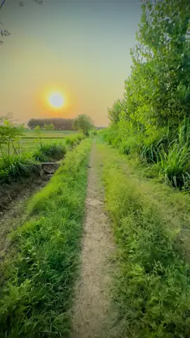 View🥰😻#foryou #viraltiktok #videoviral #foryoupage 