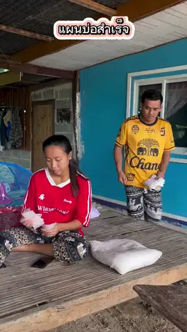 สลบเลย 
