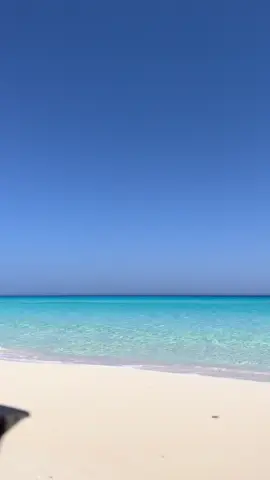#مطروح_وهلها🔥💪😎مشاهير_العرب #مالديف_مصر #foryoupage #مطروح_وجمالهاااا #maldives 