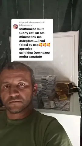 Risposta a @iulia.caraene #dolari #viata #linistit #castig 