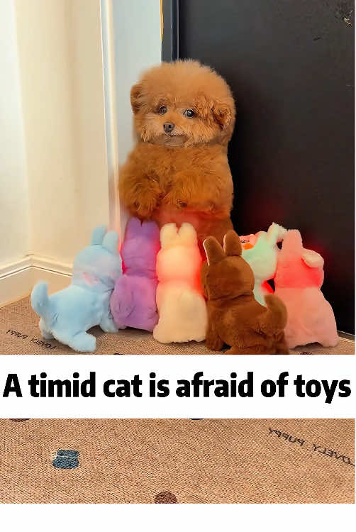 🐶: This toy is too scary !😱 🥲#dogsoftiktok #dogs #happy #fyp #funnyvideos #timid #prank 