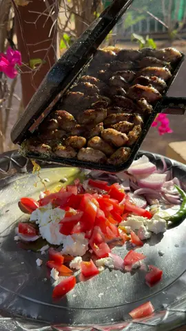 #دخل #شحيمنيات #مقناص_الطيور 