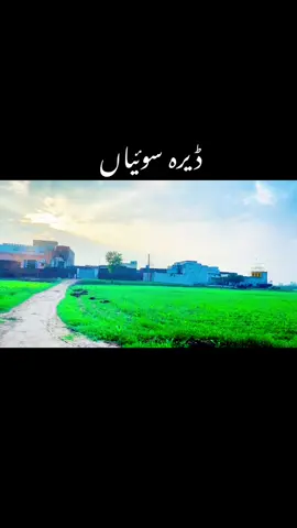 ڈیرہ سوئیاں پارٹ ۲ #village #villagehistory #foryou #viral #luqmanvibes 