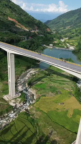 cầu móng sến trung trải sapa #vanglaota#xuhuong #ruongbacthang #caumongsen #sapa 