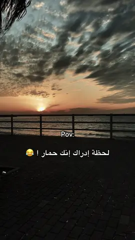#fyp #foryou #viral #history #مشاعر 
