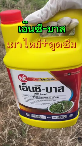 เอ็นซี-บาส เผาไหม้+ดูดซึม🔥#ยาฆ่าหญ้า #เกษตรกร #กลูโฟซิเนตแอมโมเนียม #เทรนด์วันนี้ #tiktok 