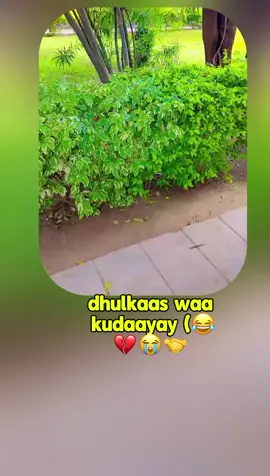 love saar #foryou #funnytiktok😂😂😂 #somalitiktok🇸🇴 
