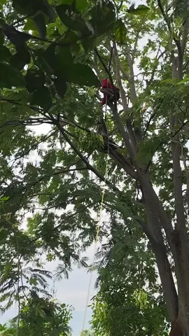 semoga panenan hari ini menjadi panenan yg berkah 🤲 #petanipete