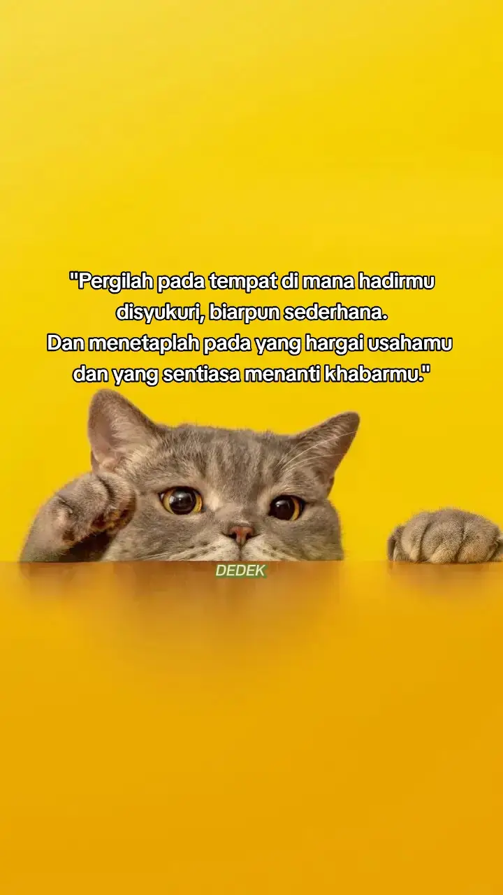 Selamat petang sahabat ku 🥰🌹  #fyp #fypシ゚viral #quotes 