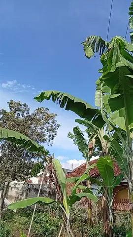 #🙂