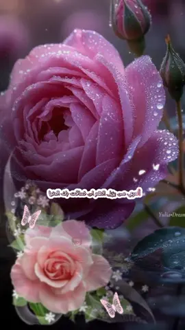 #CapCut #يارب🌼🍃 