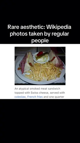 #rareaesthetic #wikipedia #2000s #nostalgic 
