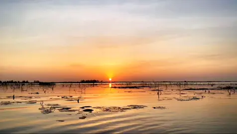 Thanks myself 🙏🌱🌿 #ទេសភាពស្រុកស្រែ🌄🏜️🌱🌼🌾🐟 