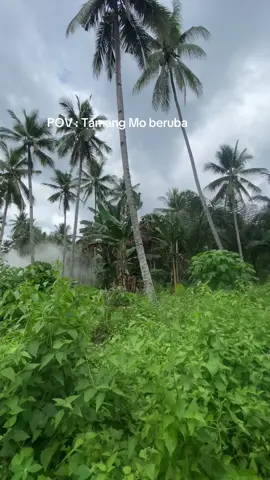 Beruba Ultramen😂#kontenpov #masukberandafyp #fyppppppppppppppppppppppp 