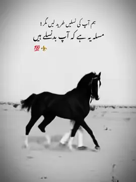 KAMبOH ❤️💯#viral #viraltiktok #unfreez 