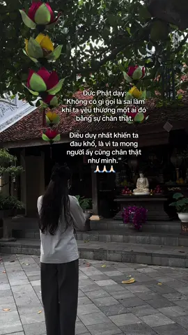 Nam Mô A Di Đà Phật 🙏🏻🙏🏻🙏🏻 #phapphucdichua #viral #phatphapnhiemmau #ngoclan #phatphap 