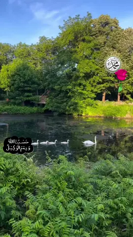 ##❤️❤️صَلّى_اللّٰه_عَلَيهِ_وَاٰلِه_وَسَلَّم 