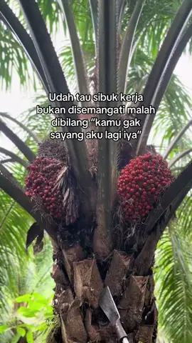 #tiktokviralvideo 