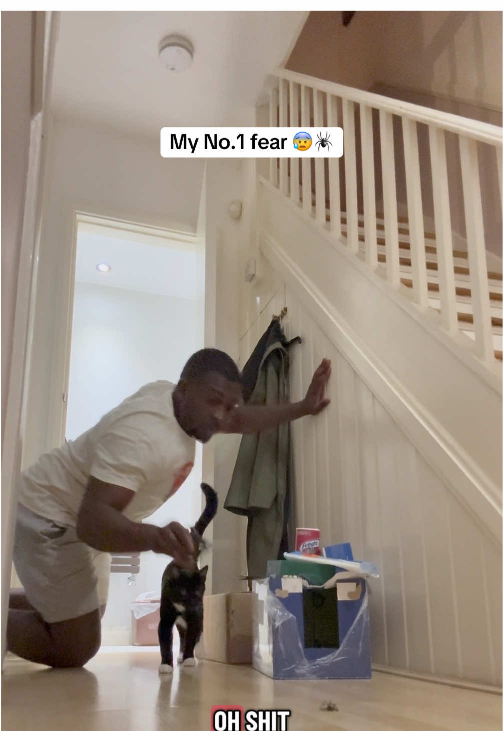 Nahh I was bugging! 😭😂 #fypupagetiktok #spiders #kittentok #shadowthecat #NathyG 