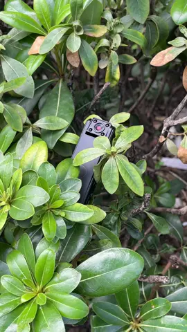 Wireless 1080P Vlog Body Camera, Wearable Body Cam with Night-Vision & 180° Rotation Lens! #VlogCamera #OutdoorAdventures #NightVision 